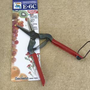 chik_e-6c_sissors_stuidio_146696127