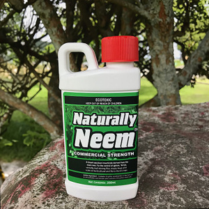 neem_insect_1-400x400_1129047145