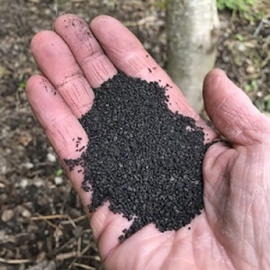 sea-hume_granule_in_hand-400x400_362752292