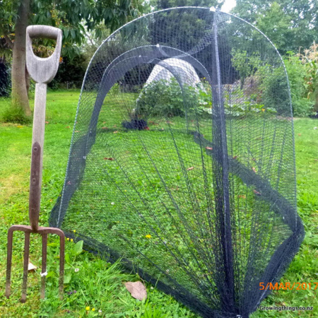 Cloche Kit with Bird netting