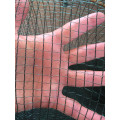Bird Netting Elaion 6m Wide x 8m length piece