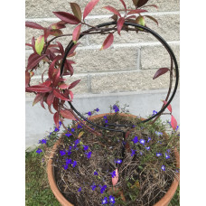 Pot Plant Trellis-25cm diameter black