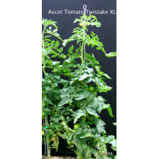  Tomato Stake -TOMTWIST- 1.9m Height - 9 clips included